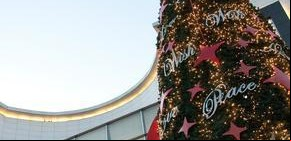 Duda clave: el árbol de Navidad, ¿viene medio lleno o medio vacío?