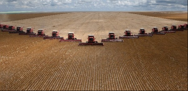 El ejemplo brasileño obliga al campo argentino a la madurez política