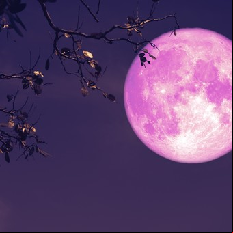 Cuándo es la Luna llena de junio 2025: dónde y cómo ver la Luna de Fresa