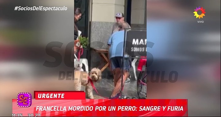 Guilermo lla fue atacado por un perro en la vía pública. Captura TV