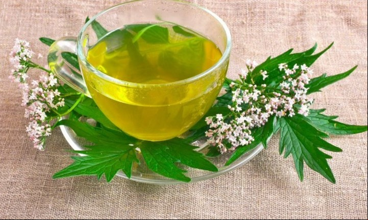Cómo preparar el té infusión valeriana para aprovechar sus propiedades.