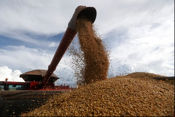 Tres razones por las que los productores aceleran las ventas de soja