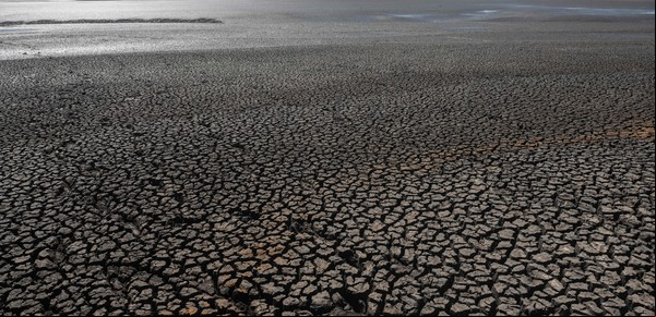 Una fuerte sequía provoca falta de agua en Uruguay: "Qué salado está el mate"