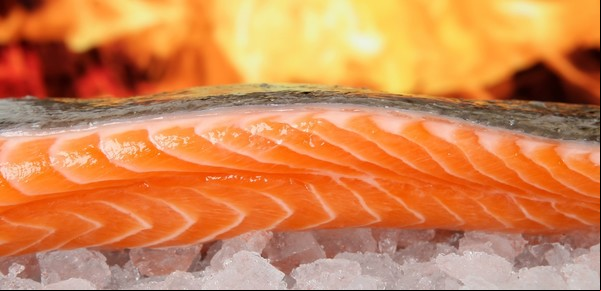 Anoche comí salmón