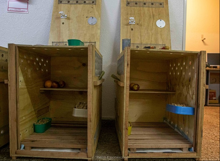 El tamaño de las cajas, un "detalle" que demoró todo