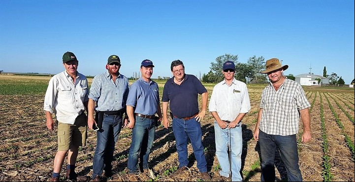 Roberto, el cuarto desde la izquierda, con un grupo de productores australianos. Luego de este encuentro en el campo de Cruz Alta, a Roberto lo invitaron a dar una conferencia en Australia.