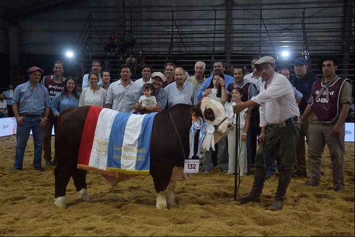 El premio Gran Campeón Ternero fue para el Box 132 de la cabaña Santa Irene.