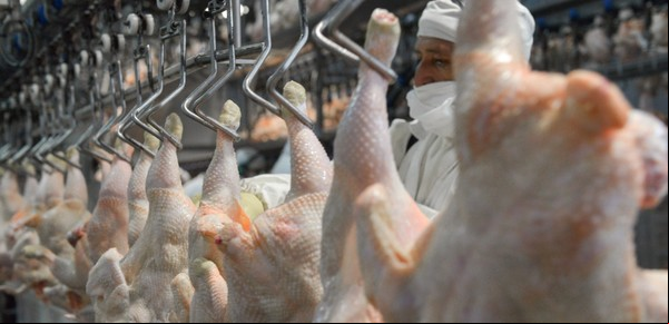 Se reabrió el mercado de Japón para carne aviar y ovoproductos argentinos