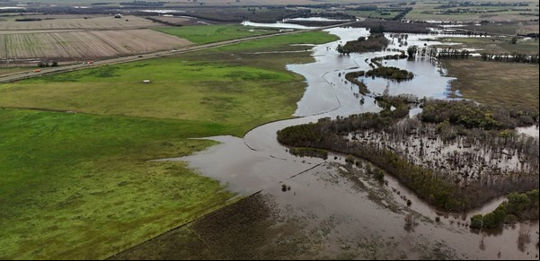 Sanidad y alimentación: pautas del INTA para el manejo de los sistemas ganaderos en las zonas afectadas por las lluvias
