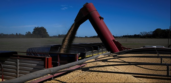 El campo liquidó más de US$ 3.000 millones el mes pasado: un 21% más que en abril