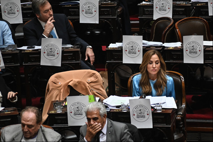 Sesión en Diputados por temas de discapacidad y jubilaciones
Victoria Tolosa Paz
Foto: Federico Lopez Claro.