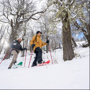 Es uno de los destinos favoritos de las vacaciones y para este invierno lanzó descuentos en hoteles y tarifas congeladas